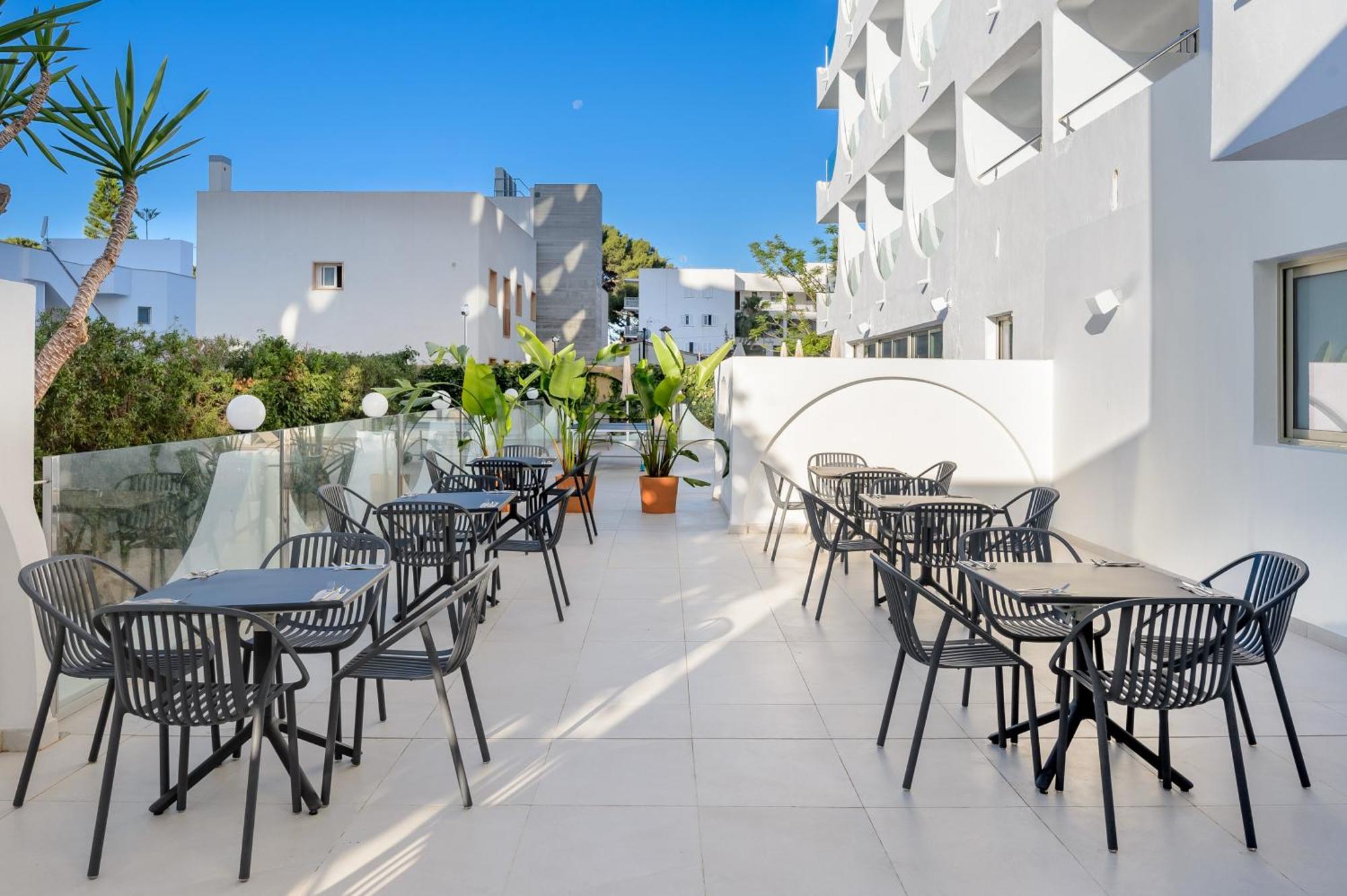 Hotel Vibra Palma Cactus 帕尔马海滩 外观 照片
